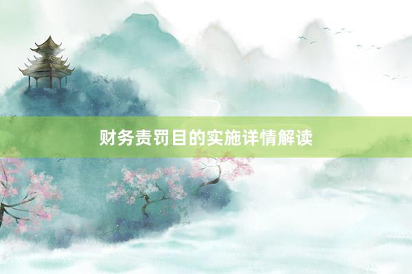 财务责罚目的实施详情解读