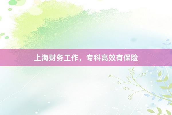 上海财务工作，专科高效有保险
